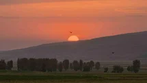 Güroymak'ta Gün Batımı Şahane Bir Manzara Oluşturdu