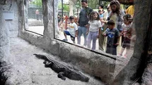 Tarsus Doğa Parkı'nda Bayram Yoğunluğu