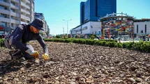 Antalya'da Kuraklığa Karşı Peyzaj Projesi