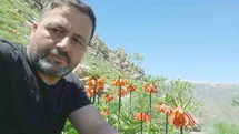 Hakkari'de Ters Laleler Görüntülendi
