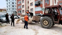 Bilecik'te Altyapı Çalışmaları Devam Ediyor