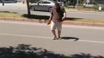 Antalya'da Kargalar Saldırdı