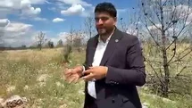 Gaziantep'te Ormanlık Alanda Yol Talebi