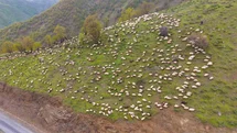 Muş'ta Besicilerin Yayla Yolculuğu Başladı