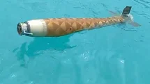Ayancık'ta Şüpheli Cisim Bulundu