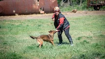 Muğla Arama Kurtarma Köpekleri Macaristan'da Eğitimde