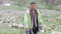 Ağrı'da Cinayet Zanlısı Yakalandı