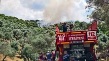 Yenipazar'da Otluk Alan Yangını Kontrol Altına Alındı