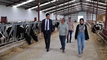 Beylikova Kaymakamı Kantilav, hayvancılık faaliyetlerini inceledi