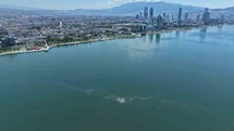 İzmir Körfezi'nde Kirlenme Tespiti Yapıldı
