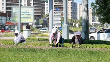 Osmangazi'de Rengarenk Çiçekler Açacak