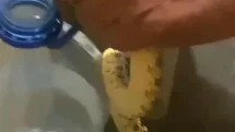 Ankara Polatlı’da yılan paniği