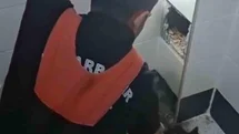 Diyarbakır'da Mahsur Kalan Kedi Kurtarıldı