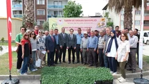 Buharkent'te 38 Bin Domates Fidesi Dağıtıldı