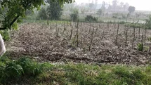 Bursa Keles'te Tarım Arazilerine Dolu Vurdu
