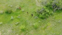 Kaçak Kazı Şüphelileri Dronla Görüntülendi