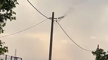 Bandırma'da Elektrik Hattında Korku Anları