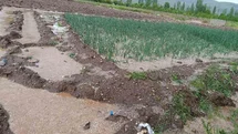 Malatya'da Dolu Yağışı Etkili Oldu