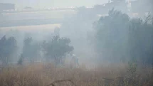 Antalya'da Sera Yangını Tehdidi