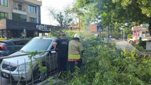 Düzce’de üzerine ağaç devrilen araca "hatalı park" cezası