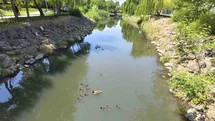 Yavru Ördekler Kent Park'ta Neşe Saçıyor
