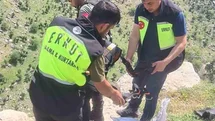 Siirt'te Keçi Kurtarma Operasyonu