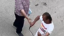 Sakarya'da Yılan Panik Yarattı