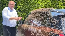 Ordu'da Arıların Sarıldığı Otomobil