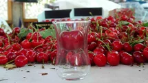 Çanakkale’de Lapseki Kirazı Hasadı Başladı