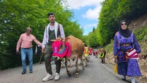 Trabzon'da Geleneksel Yayla Göçü Başladı
