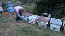 Keven ve Kekik Balı İçin Yayla Yolculuğu Başladı