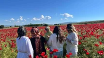 Elazığ'da Doğal Gelincik Tarlası Ziyaretçi Akınına Uğradı