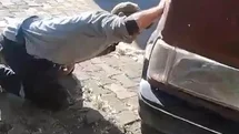 Tokat'ta Yılan Kurtarma Operasyonu