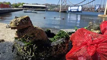 Marmara Denizi Günü'nde İlginç Bir Olay
