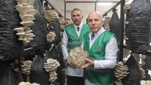 Erzurum'da İstiridye Mantarı Üretimi Başladı
