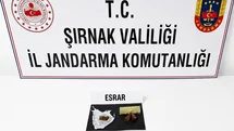 Şırnak’ta Jandarma Operasyonları Artış Gösterdi