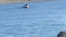 Samsun'da Av Yasağı İhlali