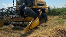 Köşk’te Hububat Hasadı Denetim Altında