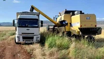 Gaziantep'te İlk Arpa Hasadı Yapıldı