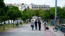 Kocaeli Üniversitesi’nde sahipsiz köpekler azaldı, öğrencilerin endişesi bitmedi