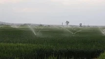 Konya’da yer altı suyu kullanımında düşüş, barajlardaki doluluk sevindiriyor