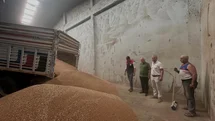 Koçarlı’da İlk Hububat Alımı Yapıldı