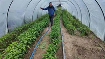 Gediz Ilıca'da Doğal Lezzetler