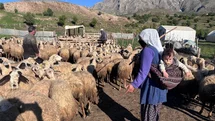 Destek Bekleyen Üreticilere Dolandırıcılık Uyarısı