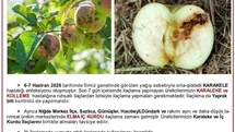 Üreticilere karaleke ve iç kurdu uyarısı