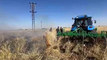 Şanlıurfa'da Arpa Tarlasına Yangın Düştü