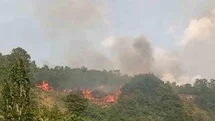 Bursa'da Makilik Alanda Yangın Çıktı