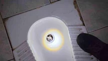 Yavru Kedi Tuvalet Giderine Düştü