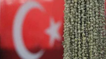 Amasya'da Bamyacılar Şikayetçi Oldu