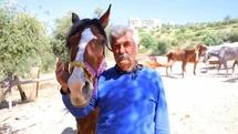 Kahramanmaraş'ta Kaçan Atlar Bulundu